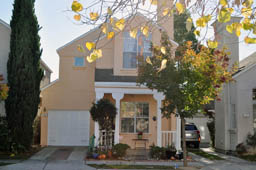 Image not yet loaded.