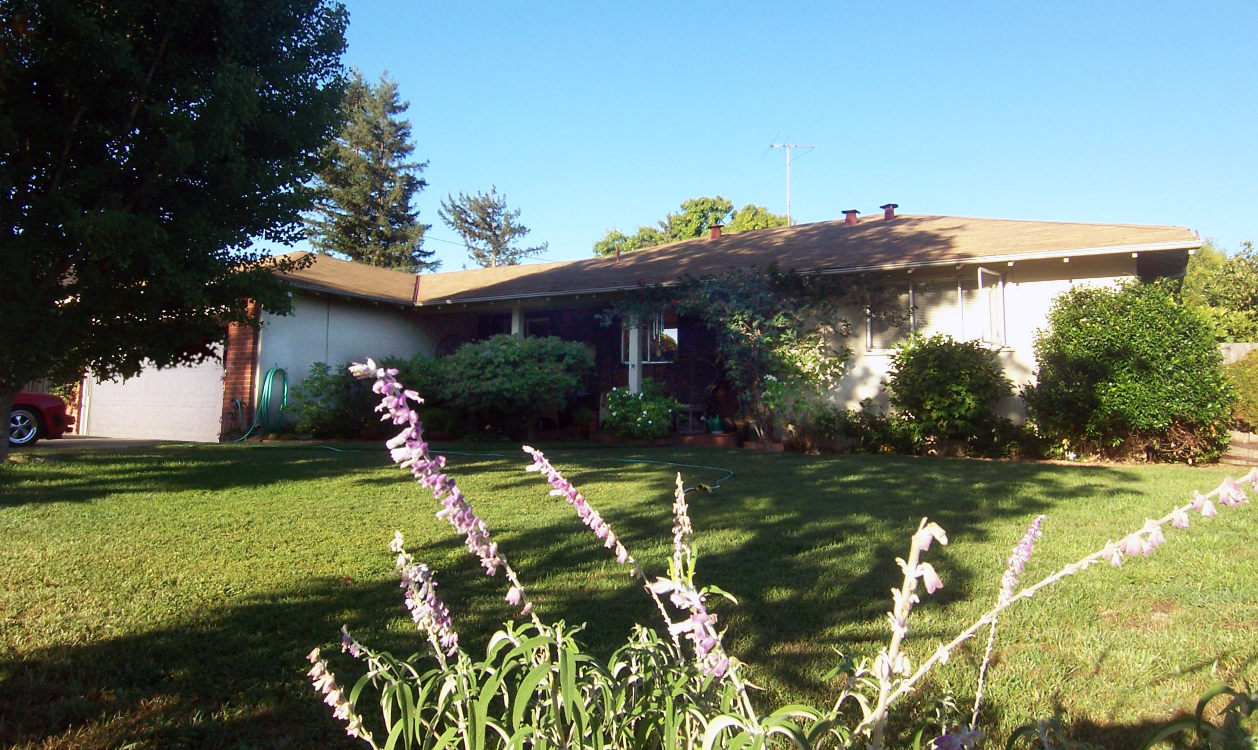 Image not yet loaded.