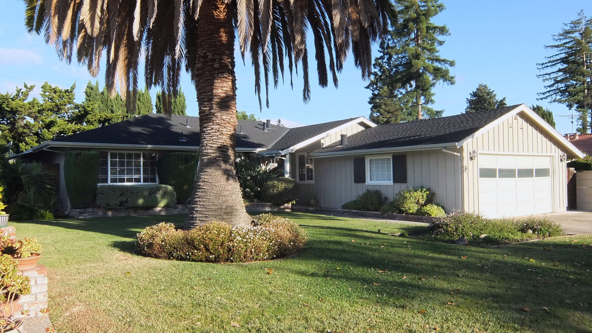 Image not yet loaded.