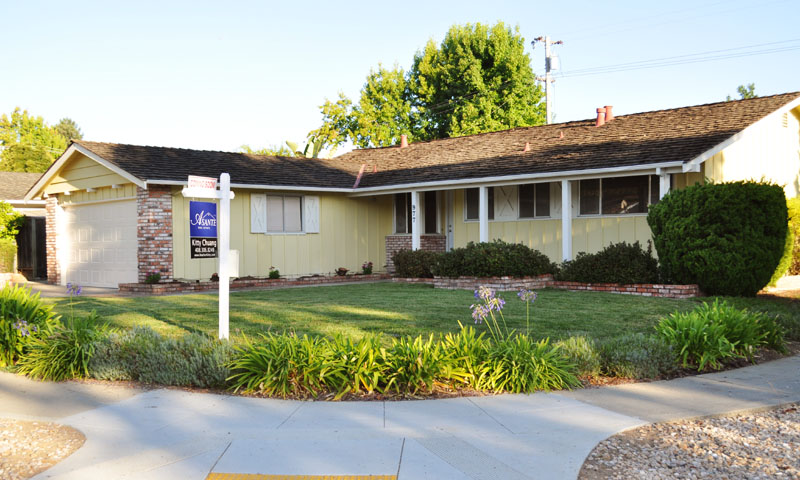 Image not yet loaded.